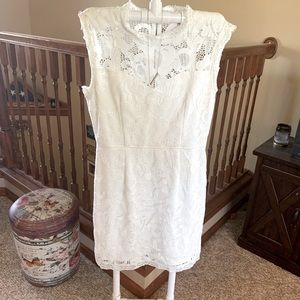 Sans Souci Sleeveless Lace Dress